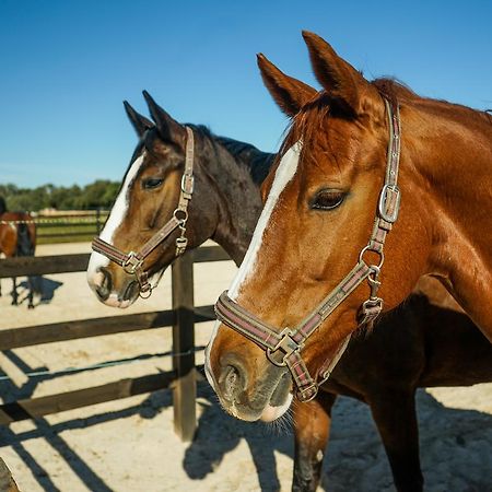 Vmg Horse Ranch (Adults Only) Villa Лукмахор Екстериор снимка